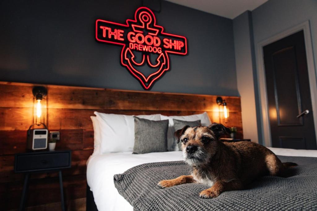 Brewdog Kennels - アバディーン エクステリア 写真